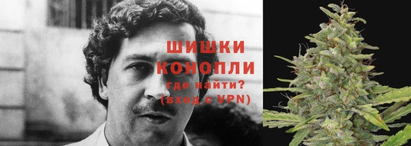 трава Балабаново