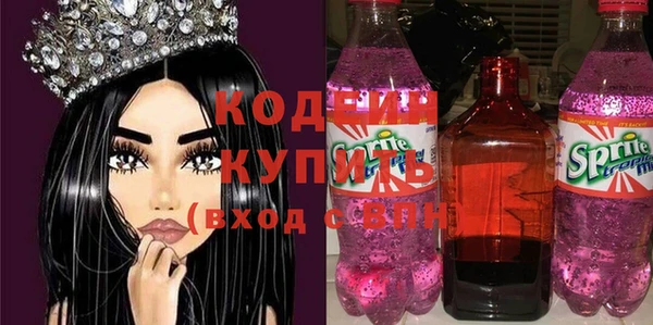 индика Баксан