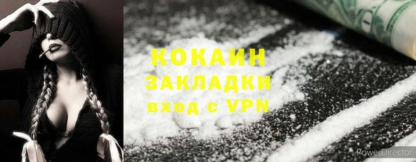 индика Баксан