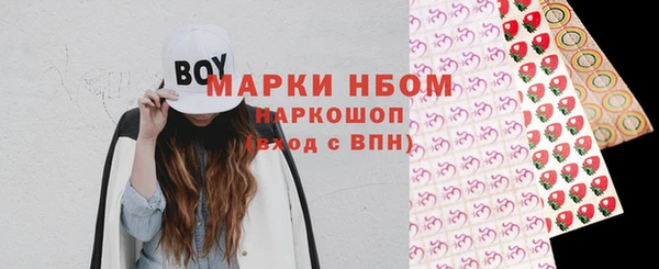 индика Баксан
