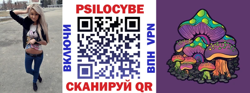 где найти   Казань  Галлюциногенные грибы мухоморы 